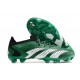 adidas Predator Accuracy.1 Low Cut FG Green White