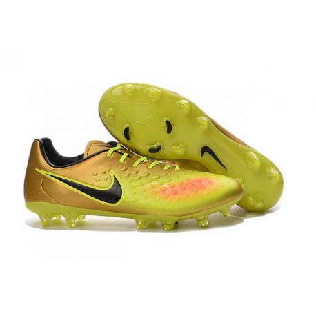 magista price