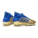 adidas Predator 19+ Firm Ground Boots Gold Metallic Blue