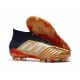 adidas Predator 19.1 FG Men's Boots Gold Silver Red