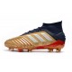 adidas Predator 19.1 FG Men's Boots Gold Silver Red