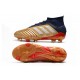 adidas Predator 19.1 FG Men's Boots Gold Silver Red